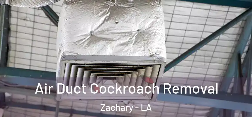  Air Duct Cockroach Removal Zachary - LA