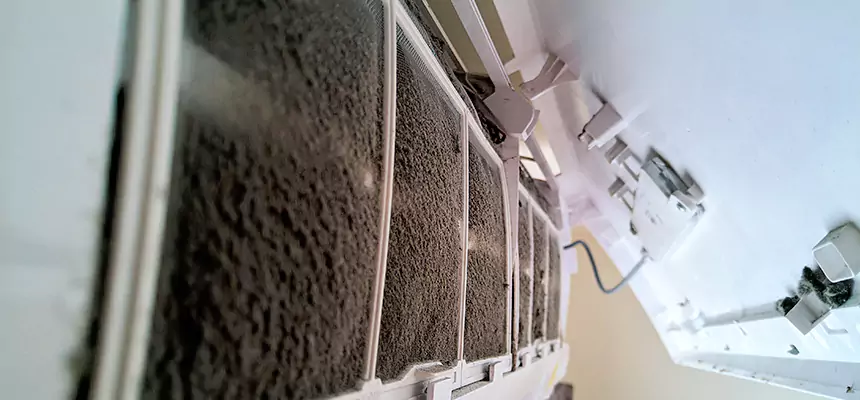 Preventive Air Duct Bacteria Removal in Zachary