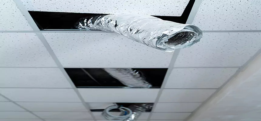 Our Air Duct Pet Hair Removal Services in Zachary, LA