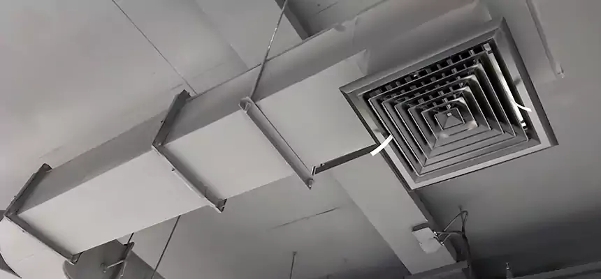 Restorative Allergy Relief Vent Cleaning – Coil, Blower & Housing Detail in Zachary