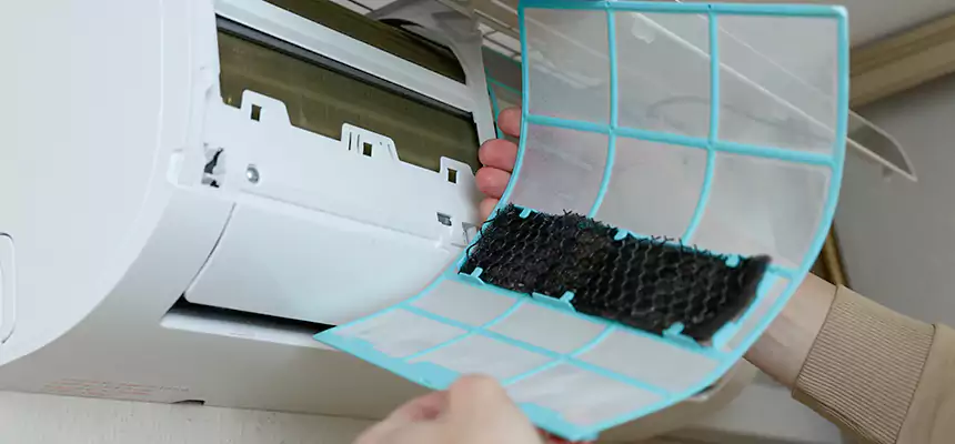 Gentle Ductwork Odor-Control Pet Dander Duct Cleaning in Zachary, LA