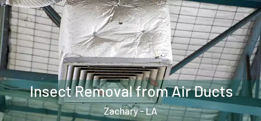  Insect Removal from Air Ducts Zachary - LA