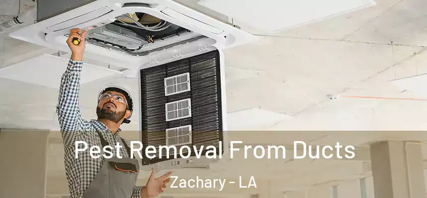  Pest Removal From Ducts Zachary - LA