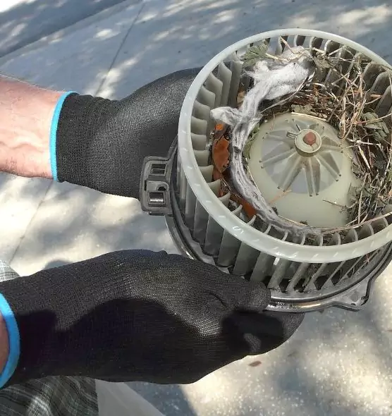 About Air Duct Rat Removal in Zachary, LA