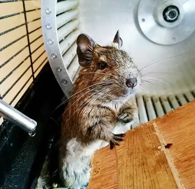 Why Homeowners & Businesses Trust Us Zachary, LA?