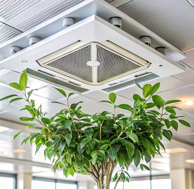 Why Homeowners & Businesses Trust Us in Zachary, LA?