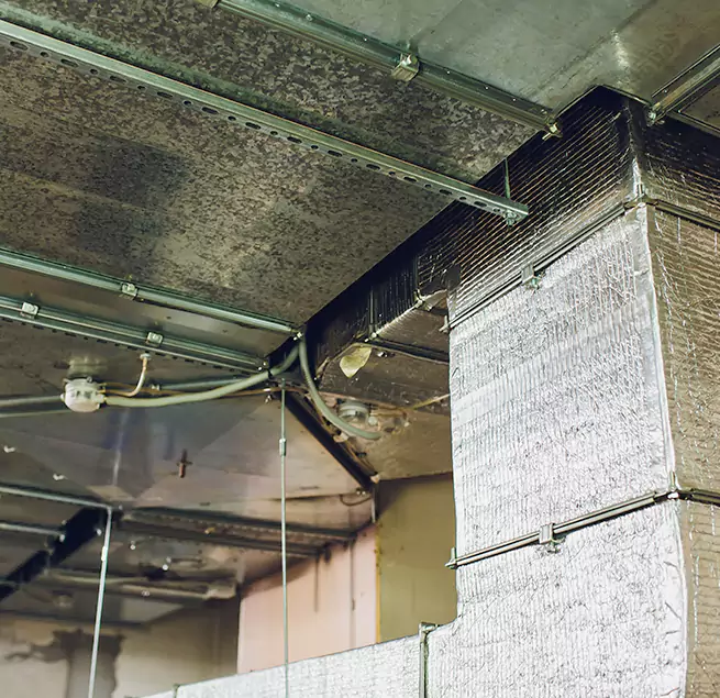 Why Homeowners & Businesses Trust Us in Zachary, LA?